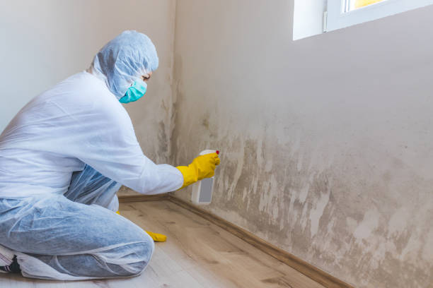 Crawl Space Mold Remediation treatment of floor joists in Duncannon